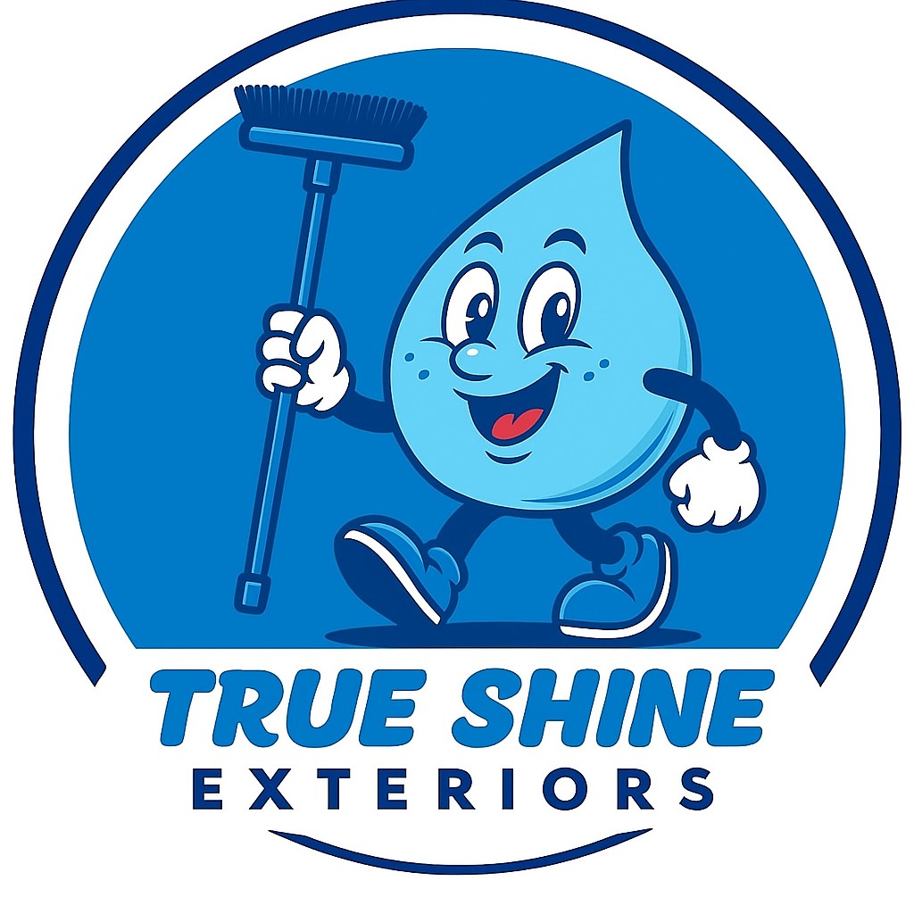 True Shine Exteriors mascot logo